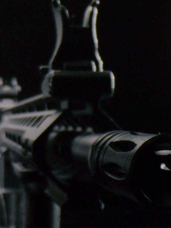 Gun1 600x800 1